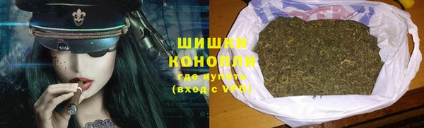 дмт Инта