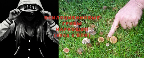 ALPHA PVP Бронницы