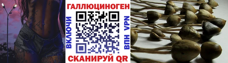 где можно купить   Катав-Ивановск  Псилоцибиновые грибы прущие грибы 